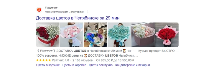 Пример ресурса с оформленным сниппетом