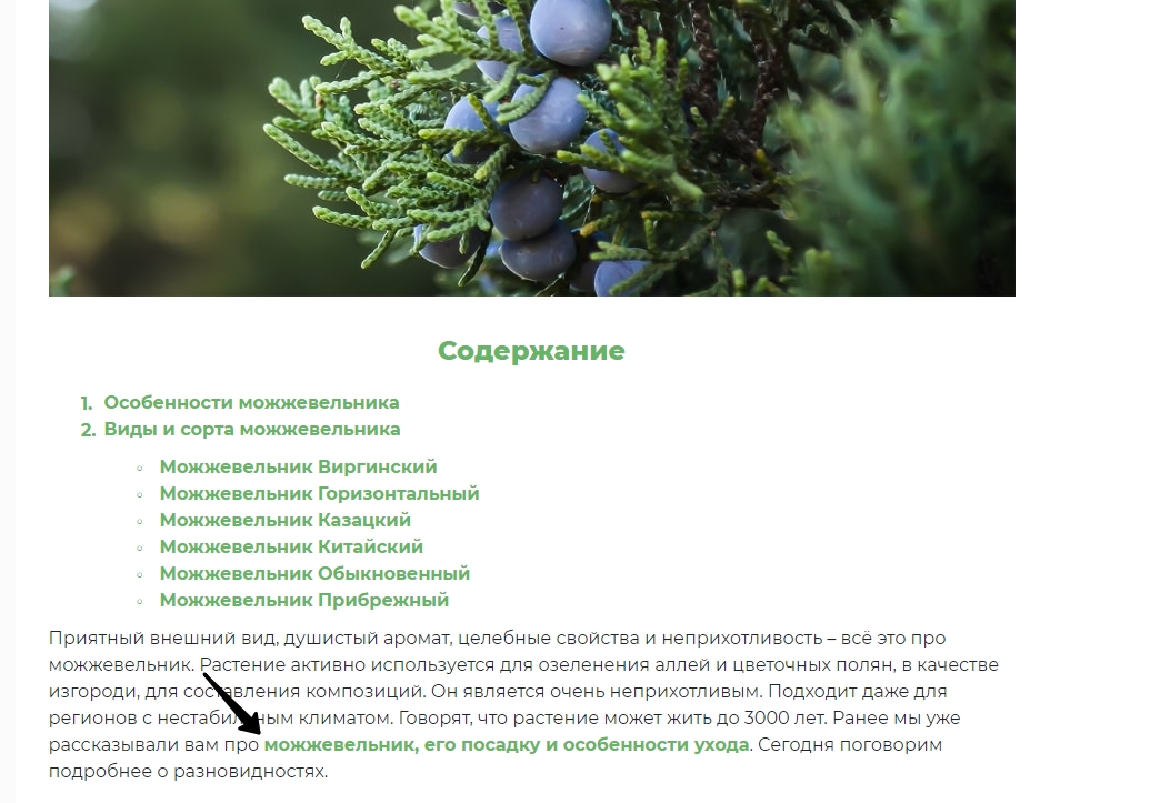 pasted-image-0-7-min.jpg pasted-image-0-7-min.jpg