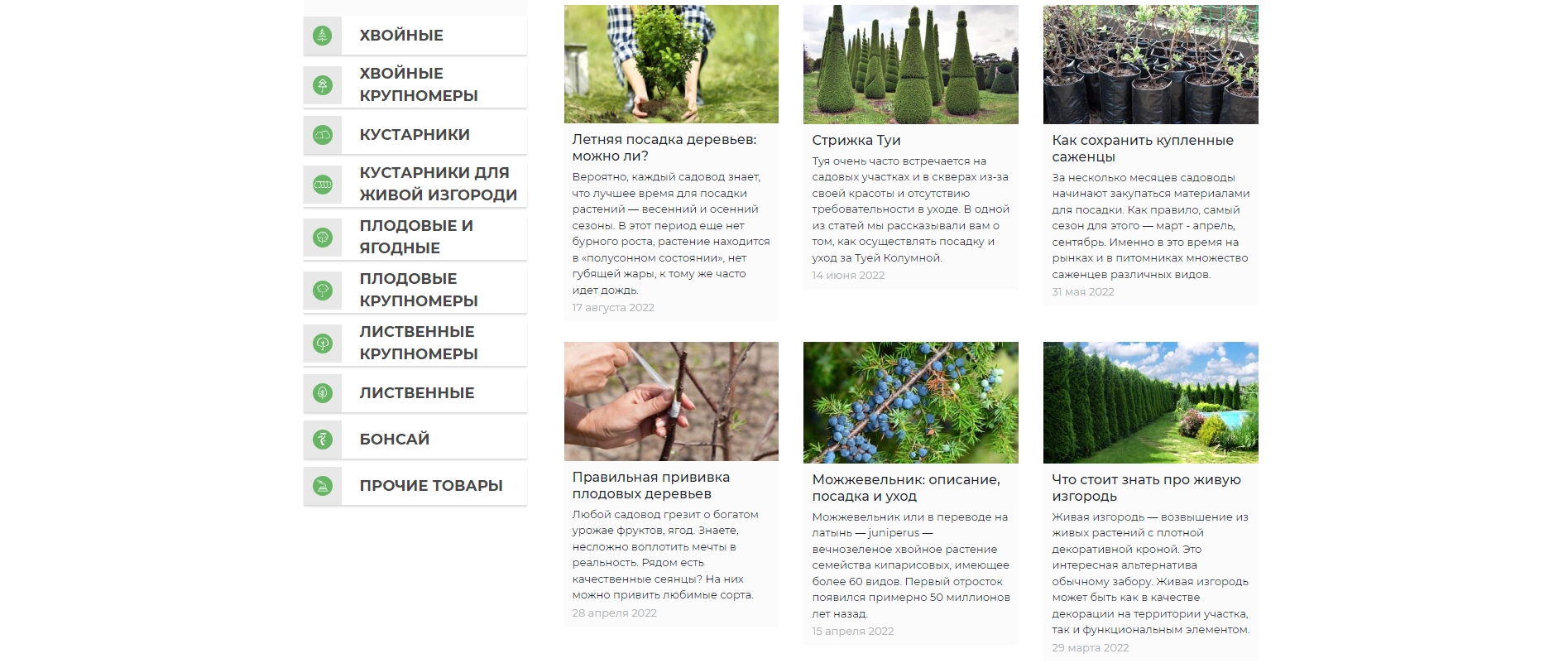 pasted-image-0-7-min.jpg pasted-image-0-7-min.jpg