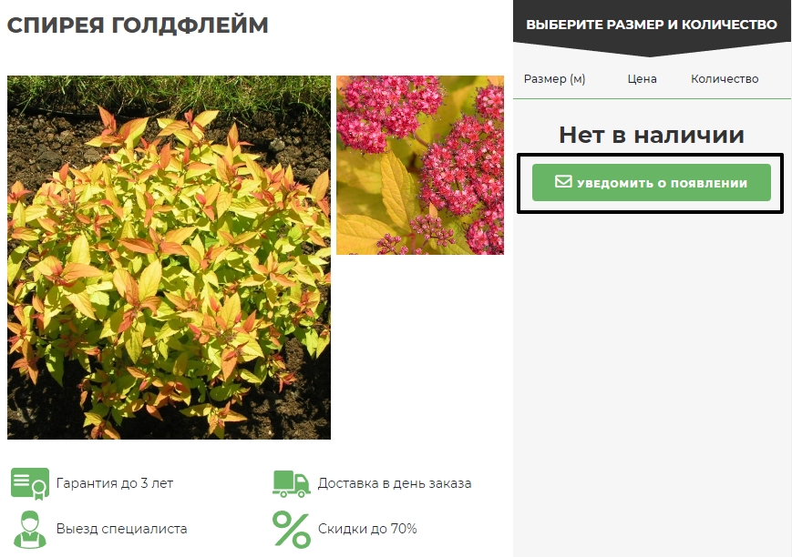 pasted-image-0-7-min.jpg pasted-image-0-7-min.jpg